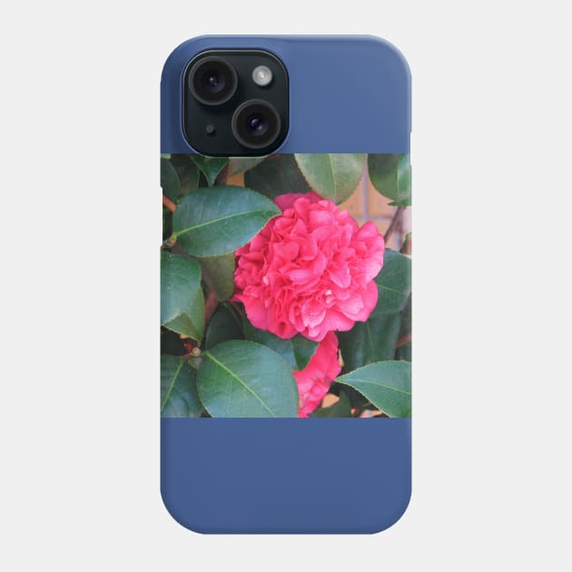 Pink ruffles Phone Case by FriendlyComputerHelp