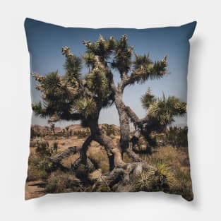 Joshua Tree Photography V2 Pillow