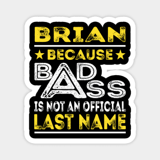 BRIAN Magnet