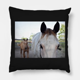 Mother & son Pillow