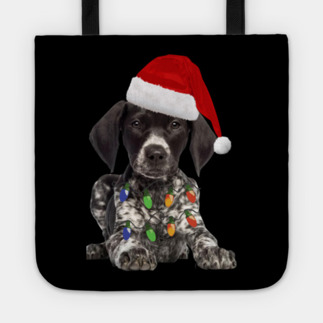 best toys for german shorthaired pointers