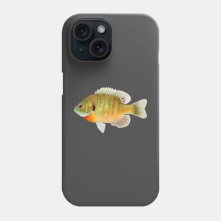 Bass Fish Illustration Phone Case