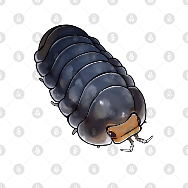 Cubaris "Pak Chong" Isopod by slothbug