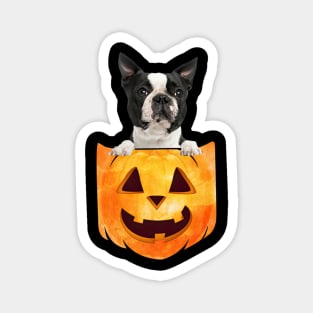 Black Boston Terrier Dog In Pumpkin Pocket Halloween Magnet