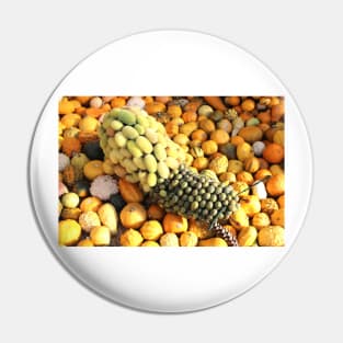 Group of pumpkins Pin