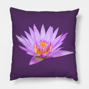 Beautiful Purple Pink Water Lily Nymphaeaceae Flower Plant Nature Photography Pillow