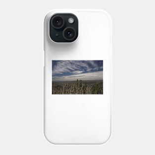 WGC_3942 Phone Case