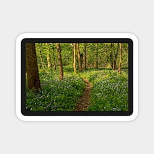 Spring Woodland Wildflowers Magnet