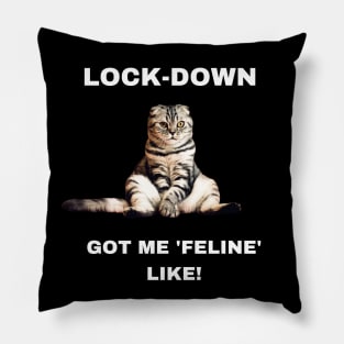 Lock-down got me 'feline' like! Pillow