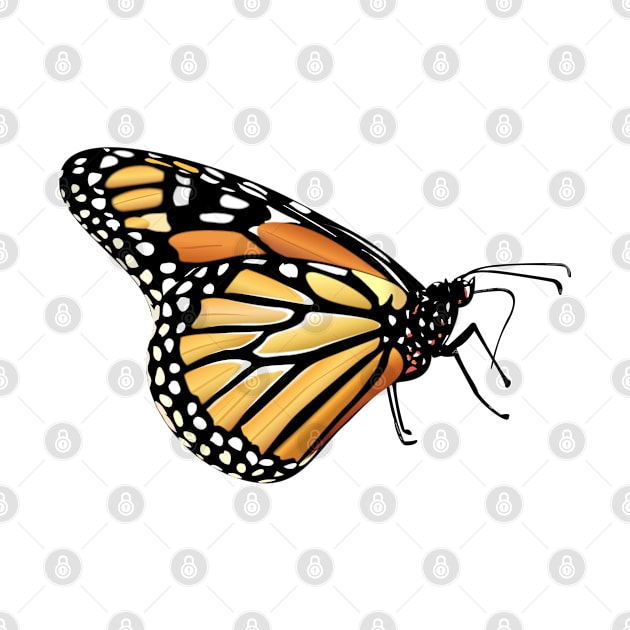 Monarch Butterfly by TinaGraphics