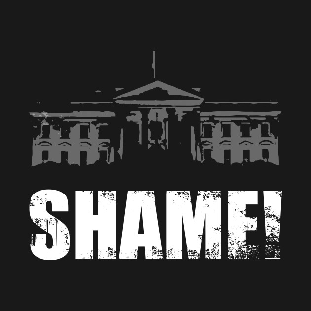 Disover SHAME! - Blm - T-Shirt