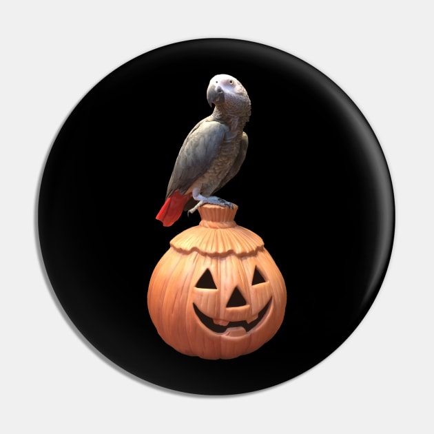 Jack-o-lantern Halloween African Grey Parrot Pin by Einstein Parrot