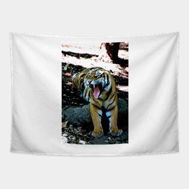 Snarling Tiger Tapestry by GP1746