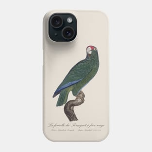 Cuban Amazon Parrot Female / La Femelle du Perroquet a Face Rouge Male - 19th century Jacques Barraband Illustration Phone Case