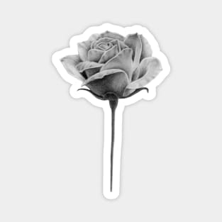 Minimalist rose without thorns drawing Magnet