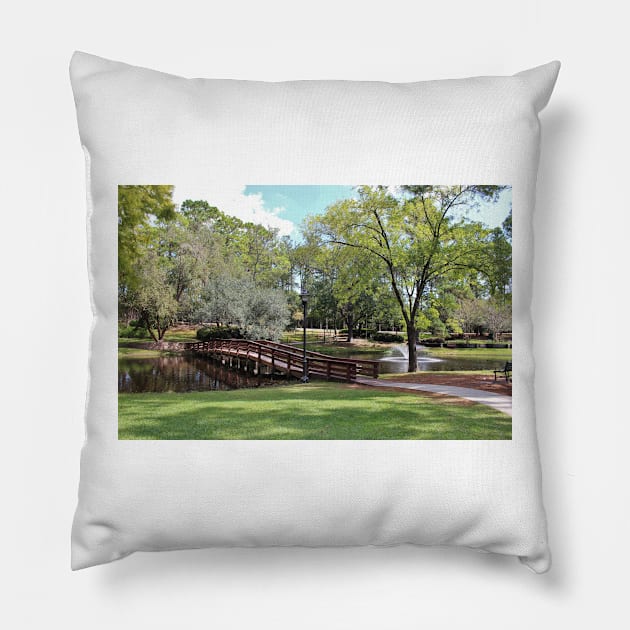 Scenic Pond Pillow by Cynthia48