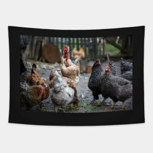 Free range chicken in the countryside Tapestry