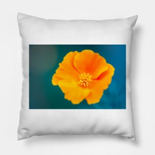 Close-up of a California poppy Pillow