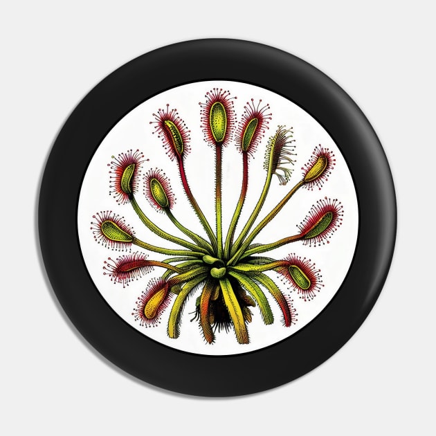 Giant Sundew Plant Beautiful Botanical Drosera Illustration Pin by Venus Fly Trap Shirts