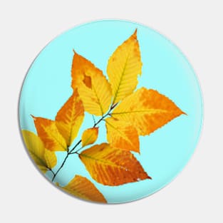 Maine Autumn Leaves Pin