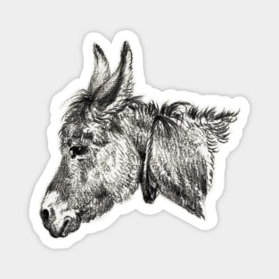 Donkey Magnet