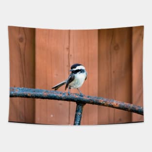 Black-capped Chickadee Standing On A Wheel Tapestry