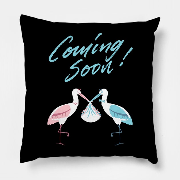 Mother's To Be, New Moms, Baby Announcement Cute, Storks, Coming Soon Design Pillow by BirdsnStuff