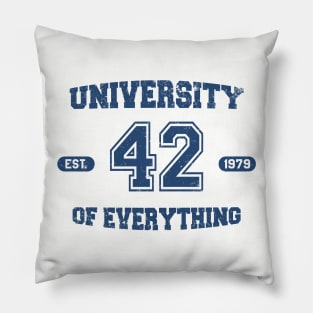University of Everything Pillow
