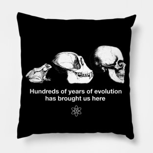 "Hundreds of years of Evolution" Funny Science Joke Shirt Pillow