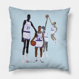 Bol and Webb (1985) Pillow