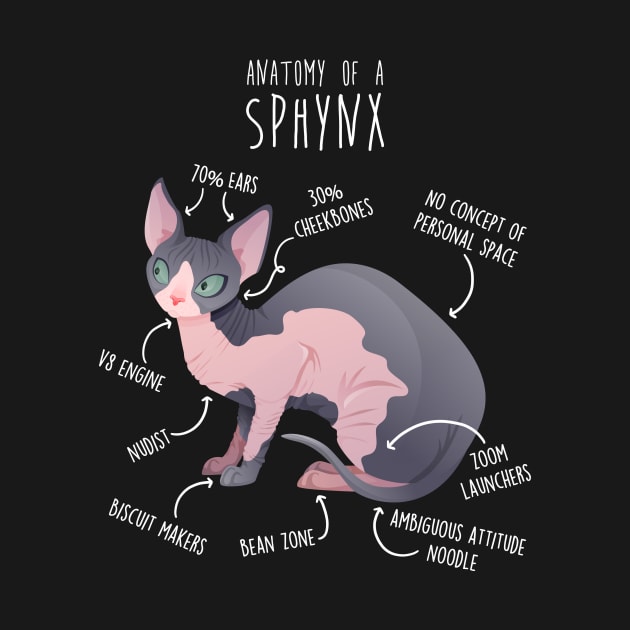 Sphynx Cat Anatomy by Psitta