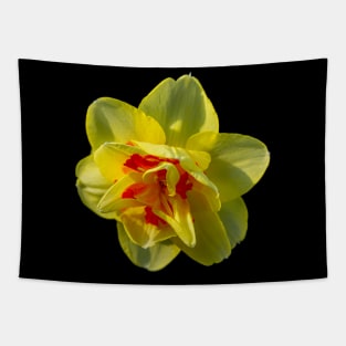 Daffodil Tapestry