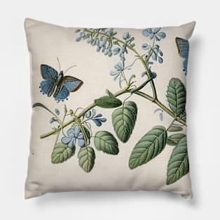 Vintage Butterflies Pillow