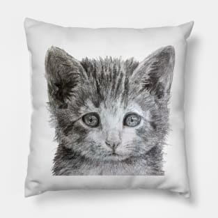 Kitten illustration Pillow