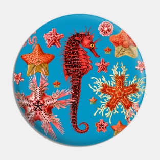 RED SEAHORSE AND SEASTARS IN AQUA BLUE Sea Life Pin