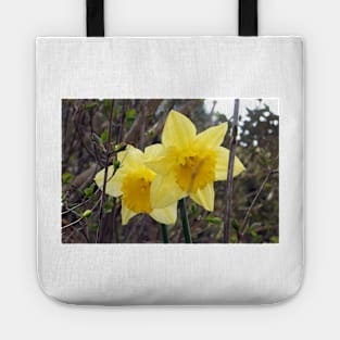 Yellow Daffodils Tote