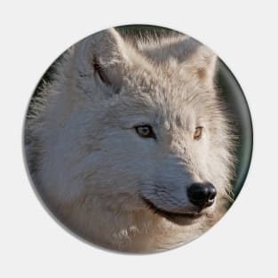 Arctic Wolf Pin