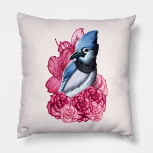 Scarfed Blue Jay Pillow