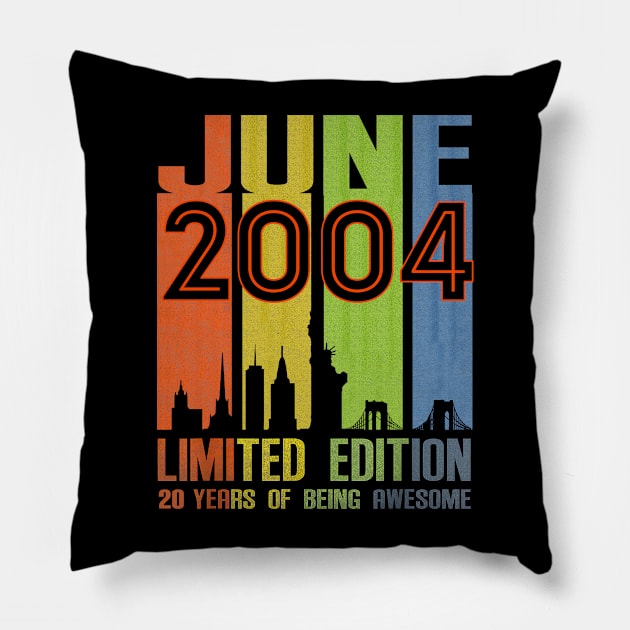 June 2004 20 Years Of Being Awesome Limited Edition Pillow by Vintage White Rose Bouquets