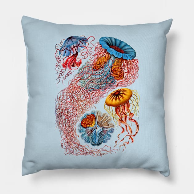 Ernst Haeckel Jellyfish Discomedusae Pillow by Scientistudio