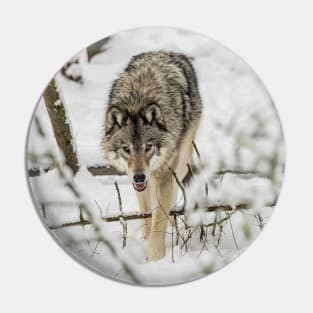 Timber Wolf Pin