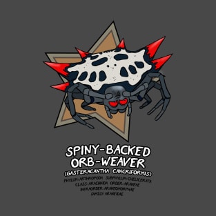 Spiny-Backed Orb-Weaver T-Shirt