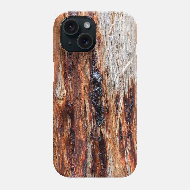 Vibrant Tree Oozing Sap From Trunk Phone Case by textural