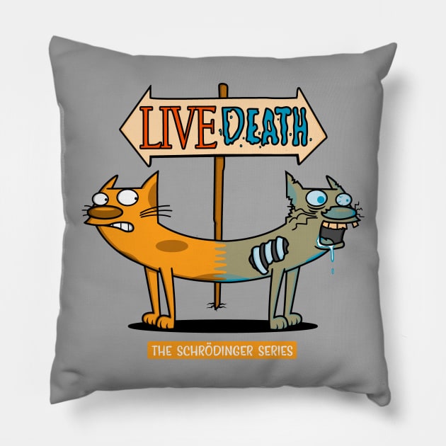 The Schrödinger Series! Pillow by Raffiti