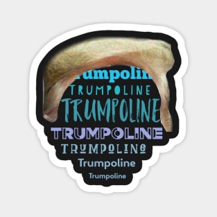 Trumpoline Magnet