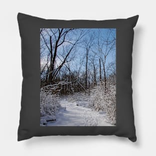 Winter wonderland Pillow