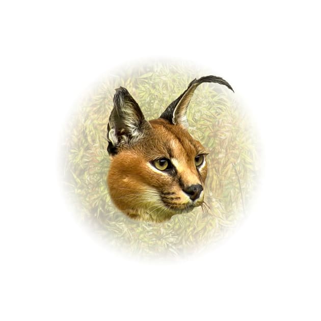 Caracal by Guardi