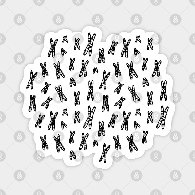 Condensed Chromosomes Pattern: Light Magnet by squidego