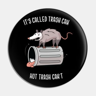 It's Called Trash Can, Not Trash Can't Pin