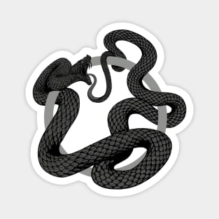 ouroboros Magnet